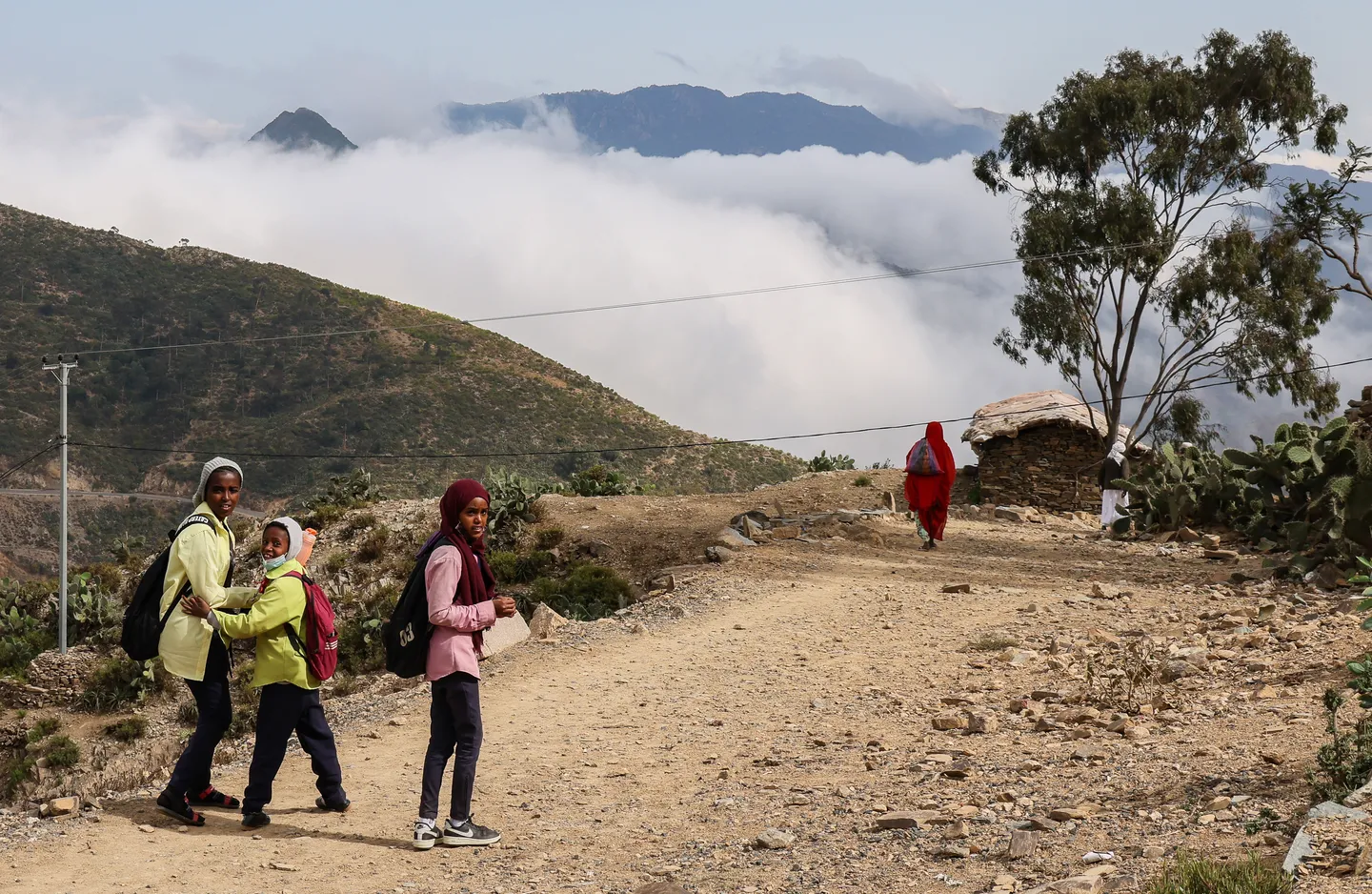 Five lessons from Eritrea’s self-reliance in an era of global aid cuts